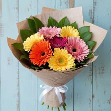 Букет цветов из:  Герберы в Березовке Воронежской области