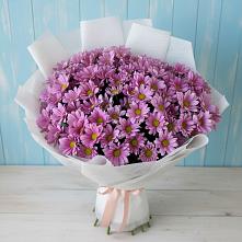 Букет цветов из:  Хризантемы в Березовке Воронежской области