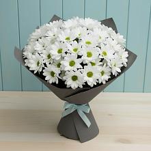 Букет цветов из:  Хризантемы #REPLACE_PRED# Березовке Воронежской области