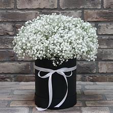 Цветочная композиция из Гипсофила в шляпной коробке в Березовке Воронежской области