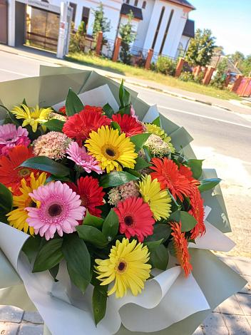 Букет цветов из: Герберы в Березовке Воронежской области