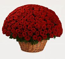 Премиум букет из: Розы в Березовке Воронежской области